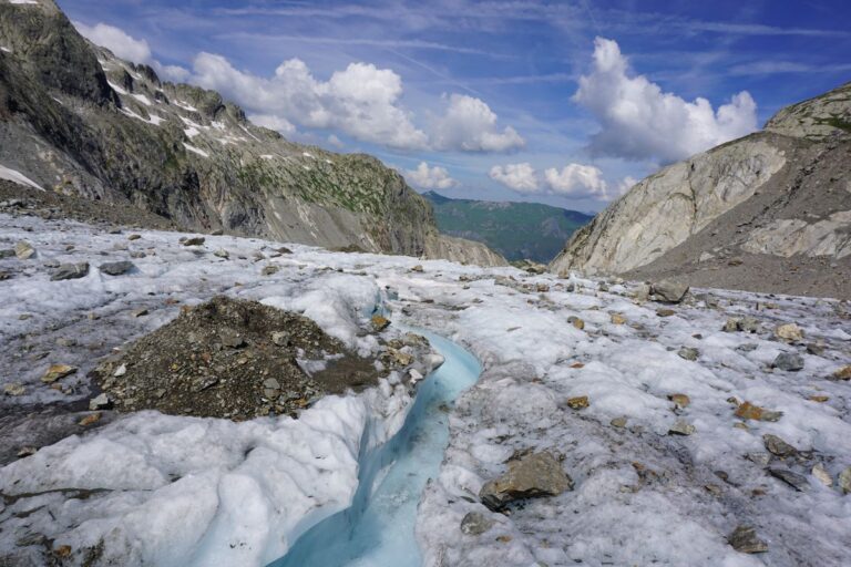 Protéger les glaciers et les écosystèmes qui succèdent.