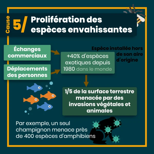 erosion biodiversite 10.png
