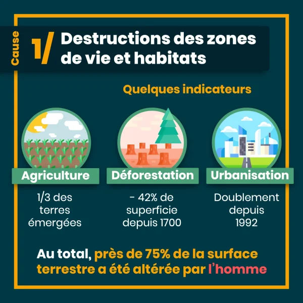 erosion biodiversite 6.png