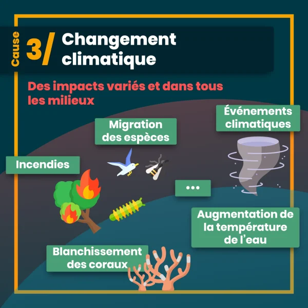 erosion biodiversite 8.png