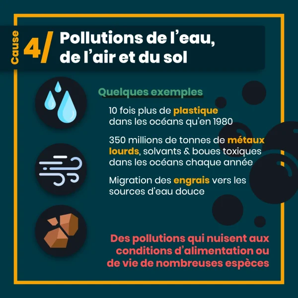 erosion biodiversite 9.png